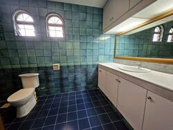 Jurong Park (D21), Detached #526283551